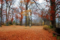 /album/fotogalerie-zamek-hruby-rohozec/zamecky-park22-jpg/